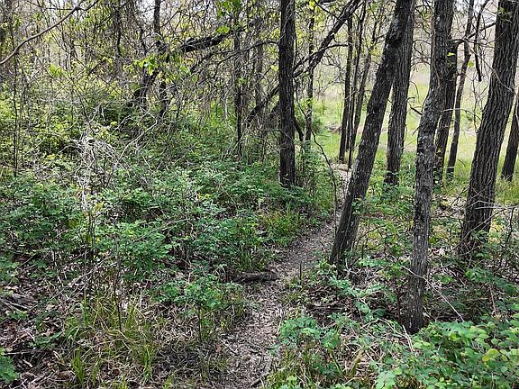 4th image of 144 County Road 219