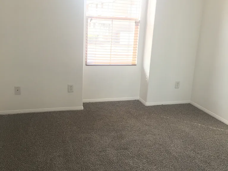 14535 Crossing Trl — Photo 15