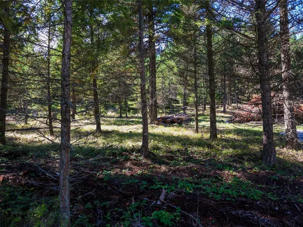 1 Tobacco Rd, Eureka, MT 59917