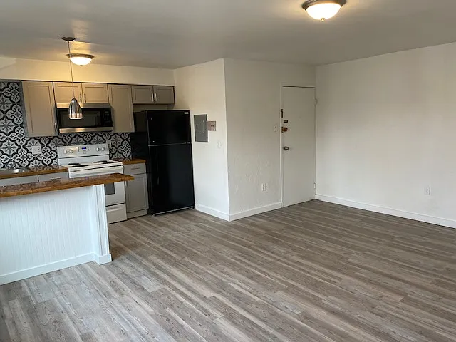 305 E Swissvale Ave #6 — Photo 3