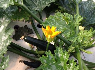 2560 Chesnee Rd, Columbus, NC 28722