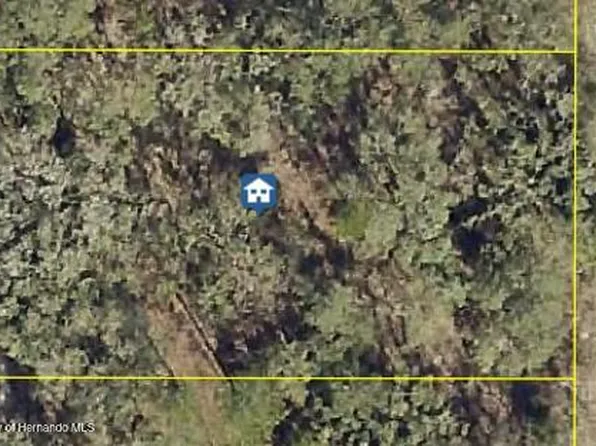 13457 Grebe Rd, Brooksville, FL 34614