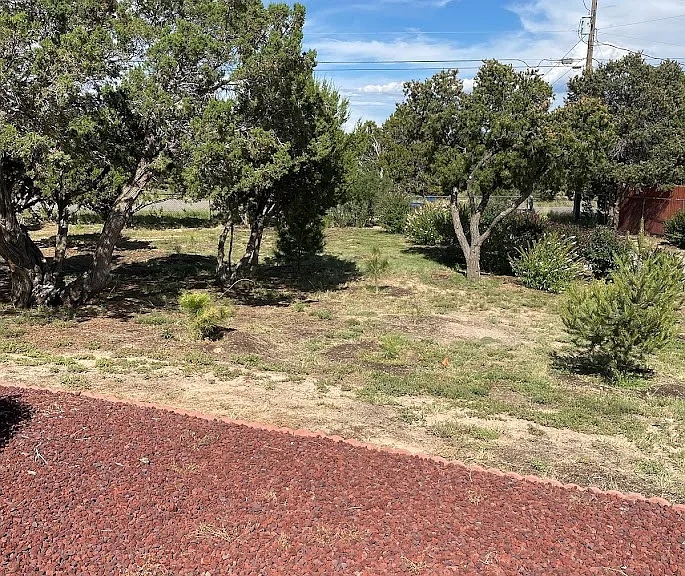 View out front of living room window