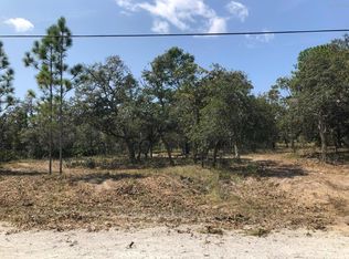 15115 Snowy Owl Avenue, Weeki Wachee, FL 34614