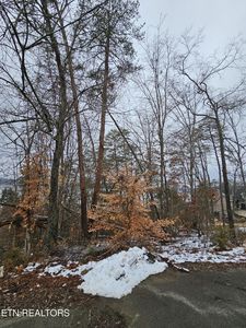 Kammann Cv, White Pine, TN, 37890