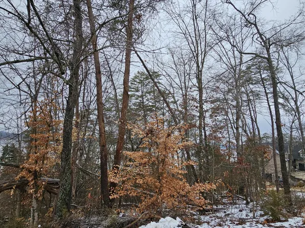 Kammann Cv, White Pine, TN 37890