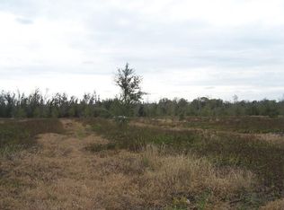 5147 Ollie Roberts Rd, Bowling Green, FL 33834