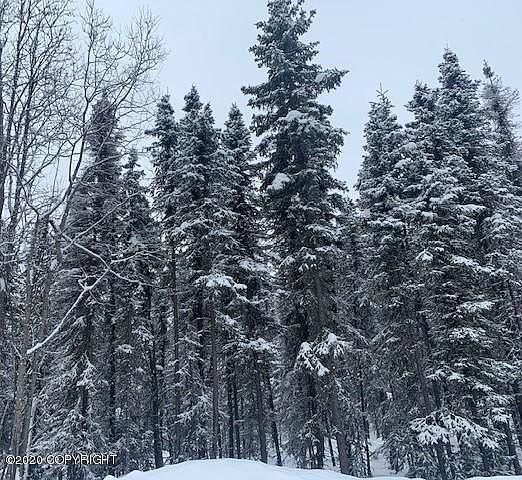2nd image of 13002 Horizon Way