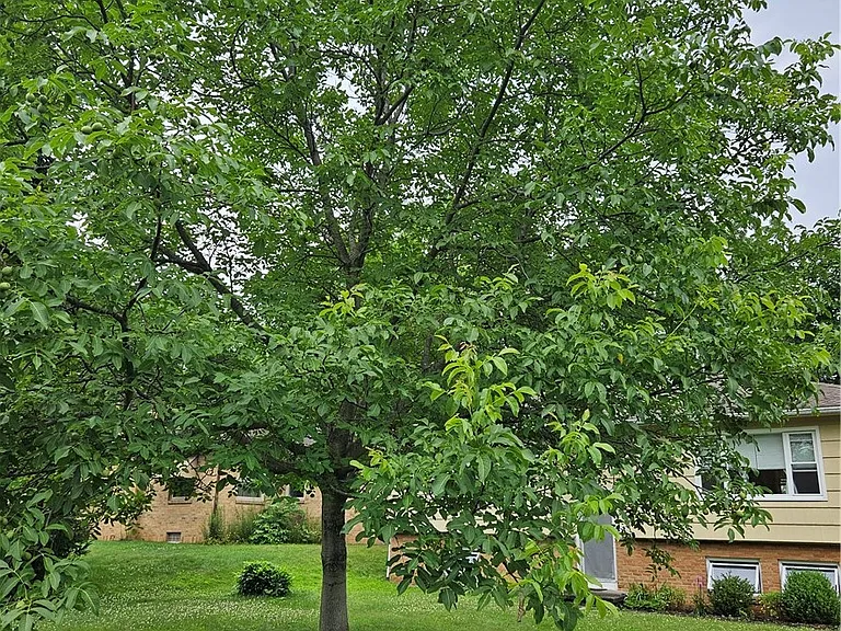 80 David Ave — Photo 29