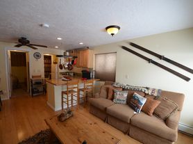 9 Yacht Club Tenderfoot St, Dillon, CO