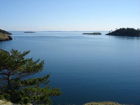 Stunning views of Alec Bay and the San Juan Islands.