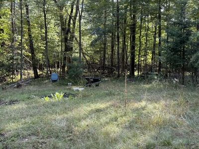 V/l Timber Trl, Prescott, MI, 48756