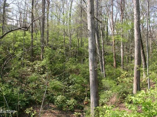 12 Vanhorn Rd NE, Knoxville, TN 37918