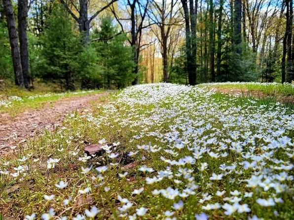 614 Graystones Jeras Rd Lot H-14, Albrightsville, PA 18210