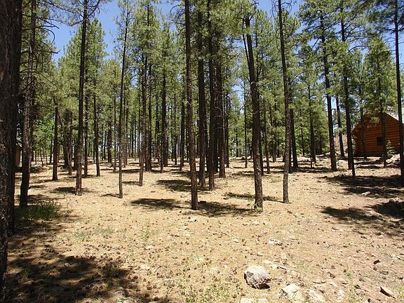 3rd image of 451 Forest Highlands