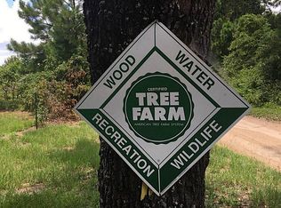 1082 An County Road 1210, Grapeland, TX 75844