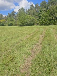 TRACT 2 County Road 306, Beckville, TX, 75631