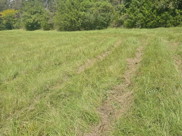 TRACT 2 County Road 306, Beckville, TX 75631