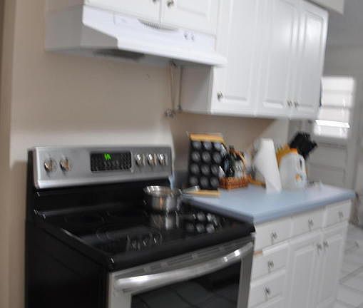 4th image of 1104 Boca Grande Ave