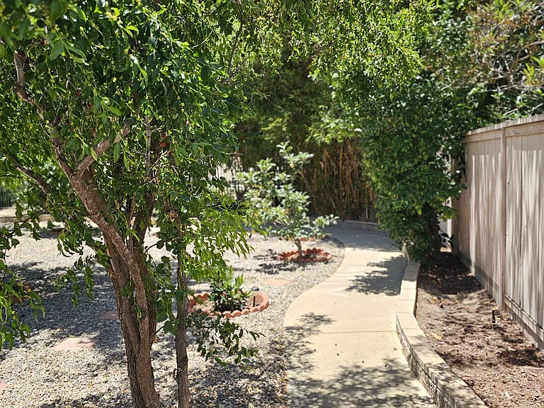 233 Canyon Creek Way — Photo 38