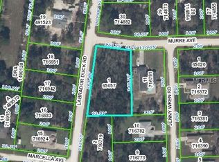 11456 Murre Ave, Weeki Wachee, FL 34614