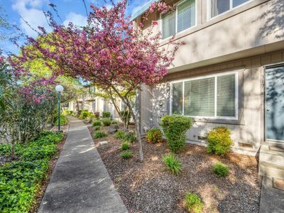 317 Gate Way, Santa Rosa, CA, 95401