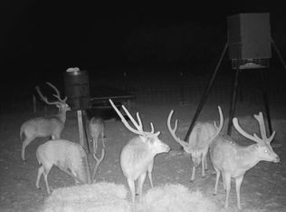 33 Sd #24750, Rocksprings, TX 78880