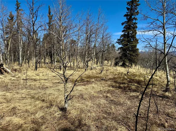 102 Antelope Circle LOT 2587, Jefferson, CO 80456