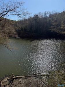 LOT 11 County Road 3782, Arley, AL, 35541