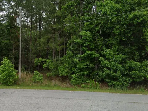 291 SW Pine Forest Court, Lake City, FL 32024