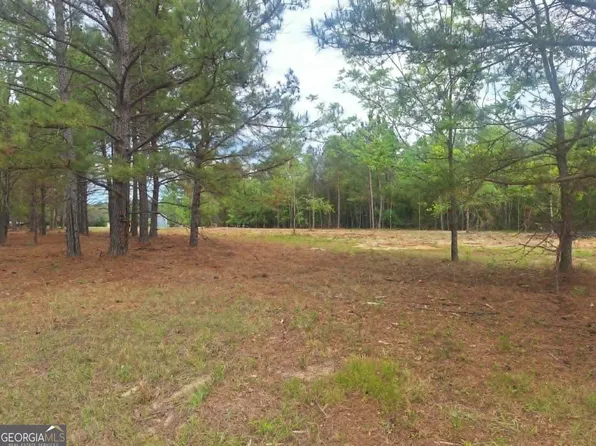 0 Cv Mosley Blvd, Lyons, GA 30436