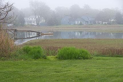 View of private marsh across street
