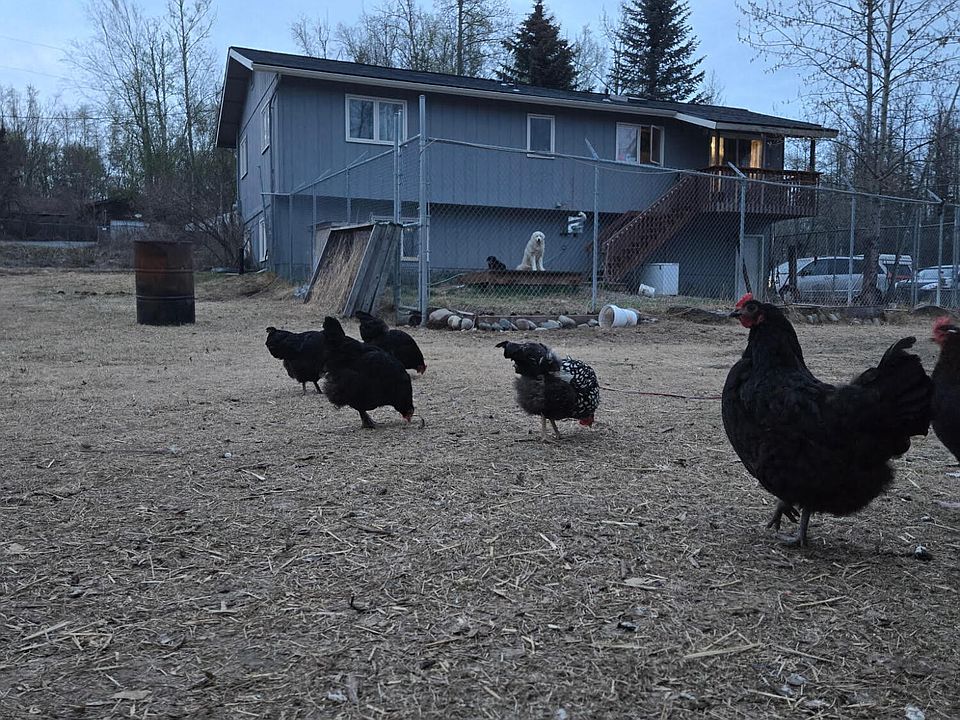 1st image of 3026 N Eureka Cir