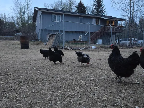 3026 N Eureka Cir, Wasilla, AK 99654