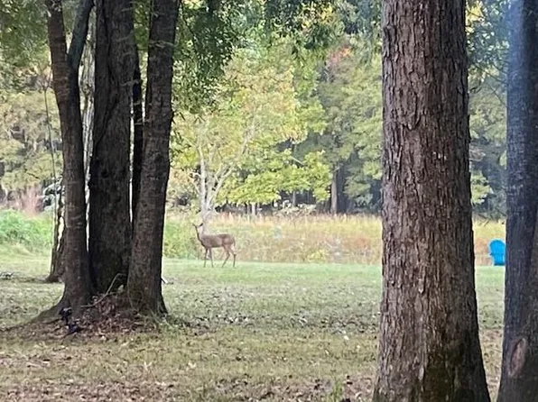 0 Unruh Dr Lot 407, Cleveland, TX 77327