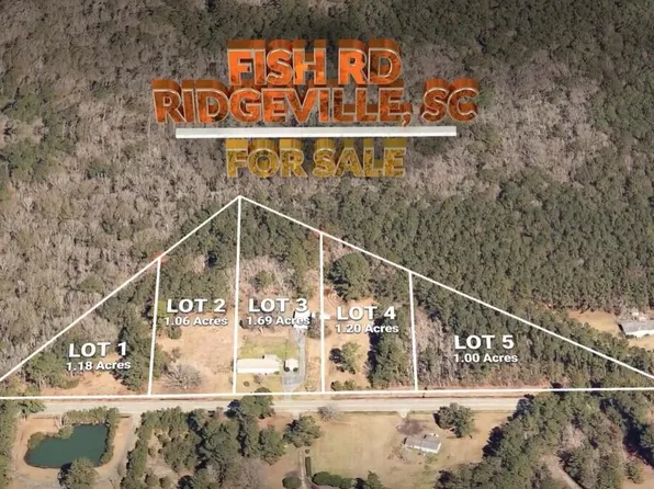 0 Fish Rd #1 & 2, Ridgeville, SC 29472