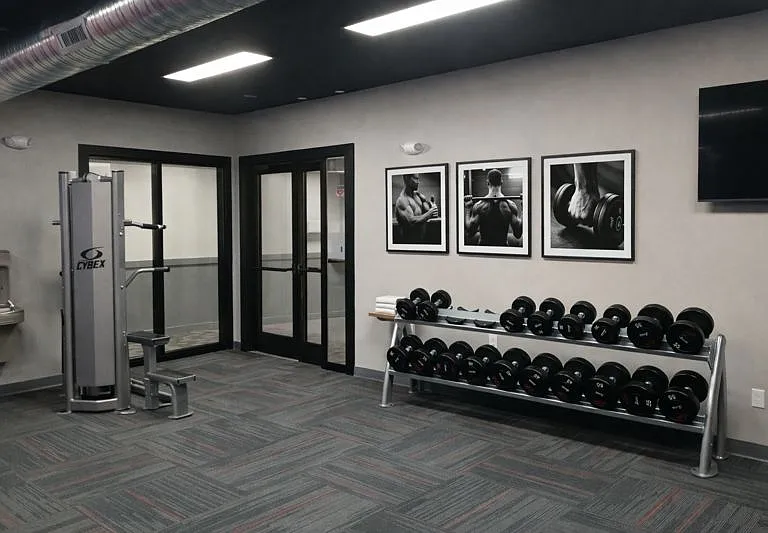 Free Weights