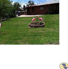 Backyard looking at house