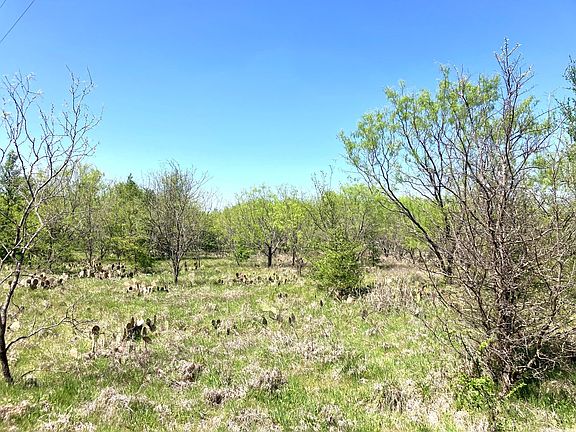 2nd image of 780 County Road 410a