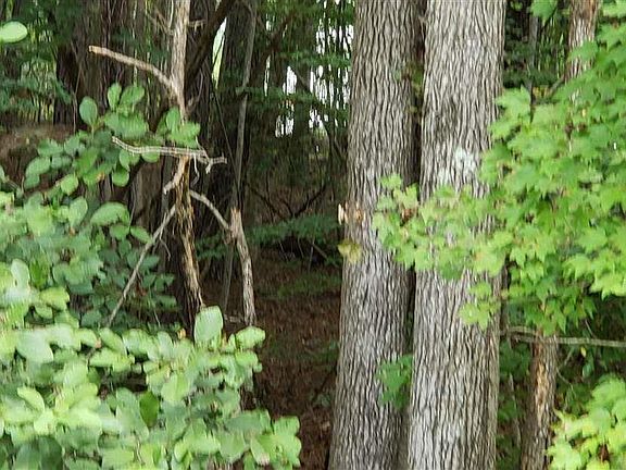 3rd image of 141 Huron Dr
