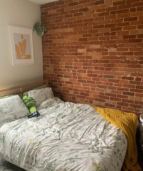 14 Homer St #3 — Photo 9