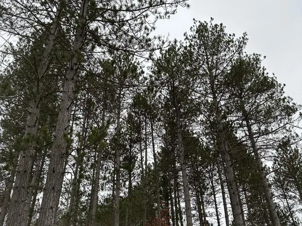 Wood Rd #4069-21, Tomahawk, WI 54487