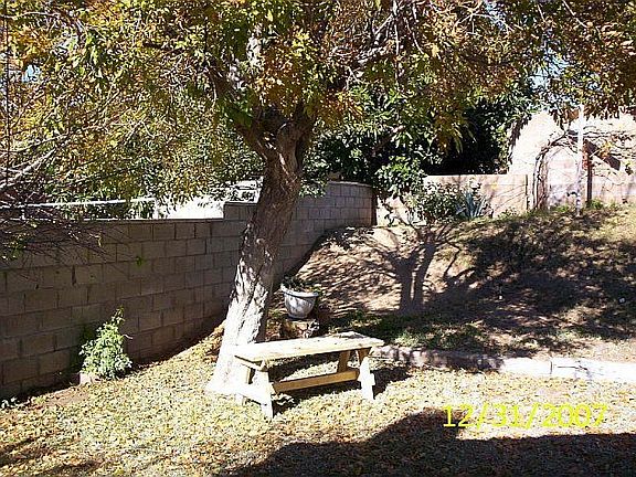 back yard is just the right size