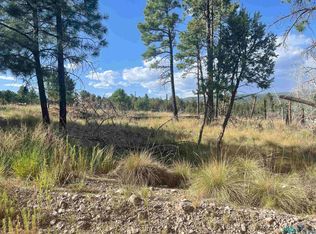 27 Balkans Dr, Timberon, NM 88350
