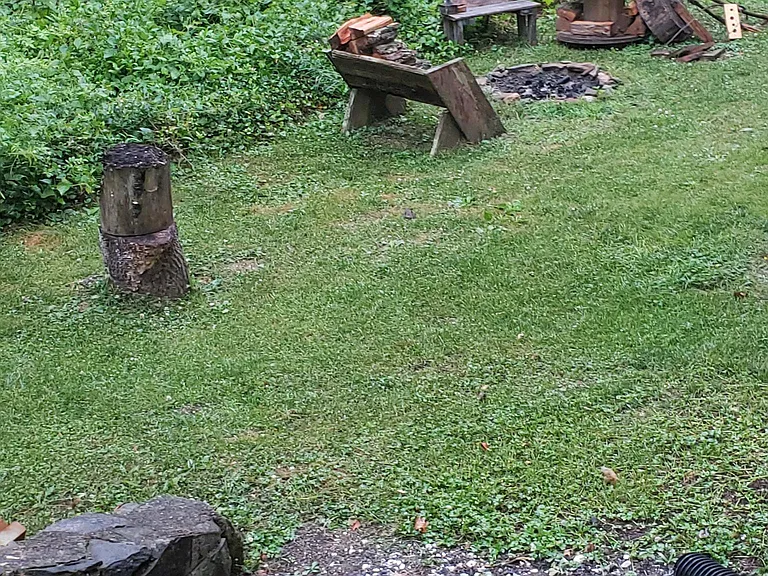 Back yard