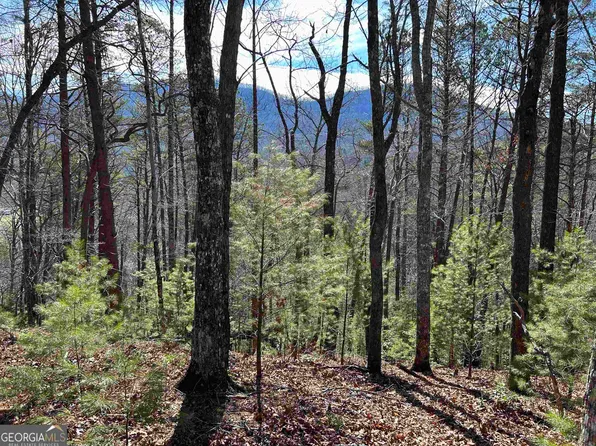 0 Tree House Trl, Blairsville, GA 30512