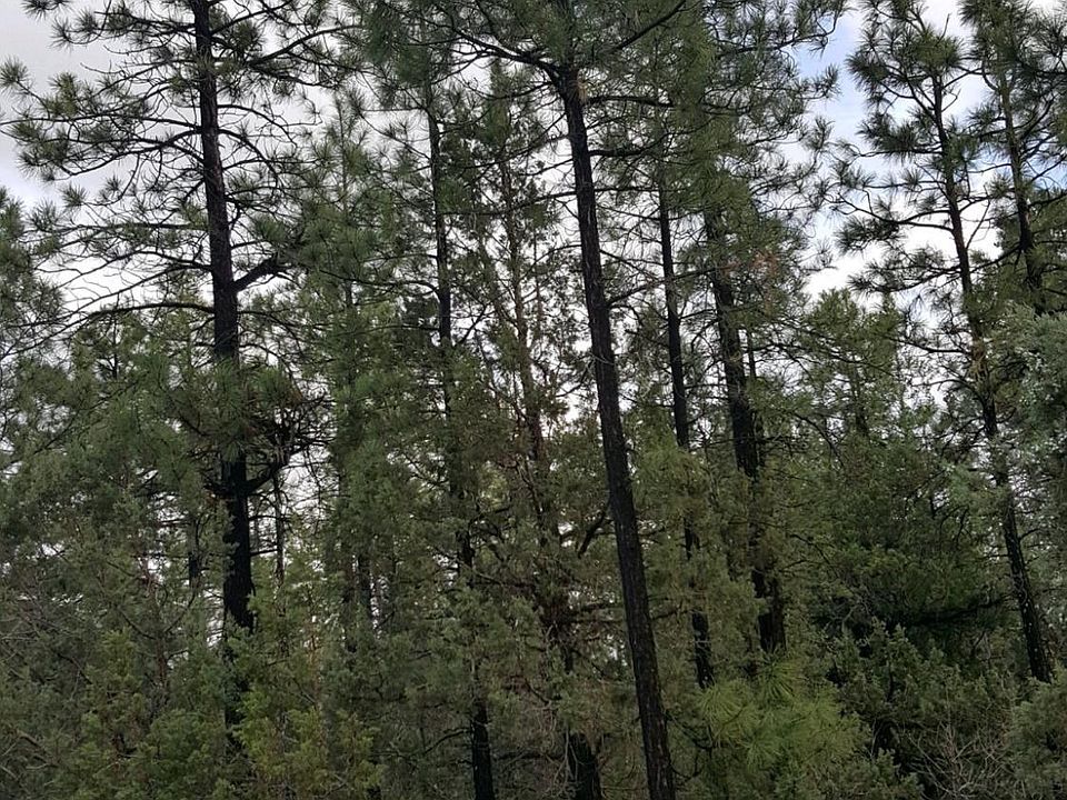 1st image of 5335 Live Oak Dr