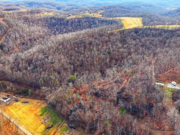 0 De Loss Creek Rd, Kitts Hill, OH 45645