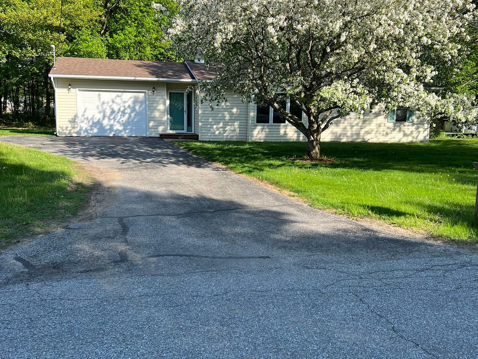 3 bed, 1100 sqft, $3,200 — Photo 3