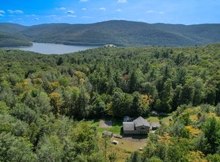 865 Boy Scout Rd, Downsville, NY 13755